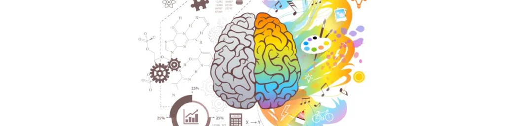 Dos Comas – Ilustración de experiencia de usuario digital con diseño web